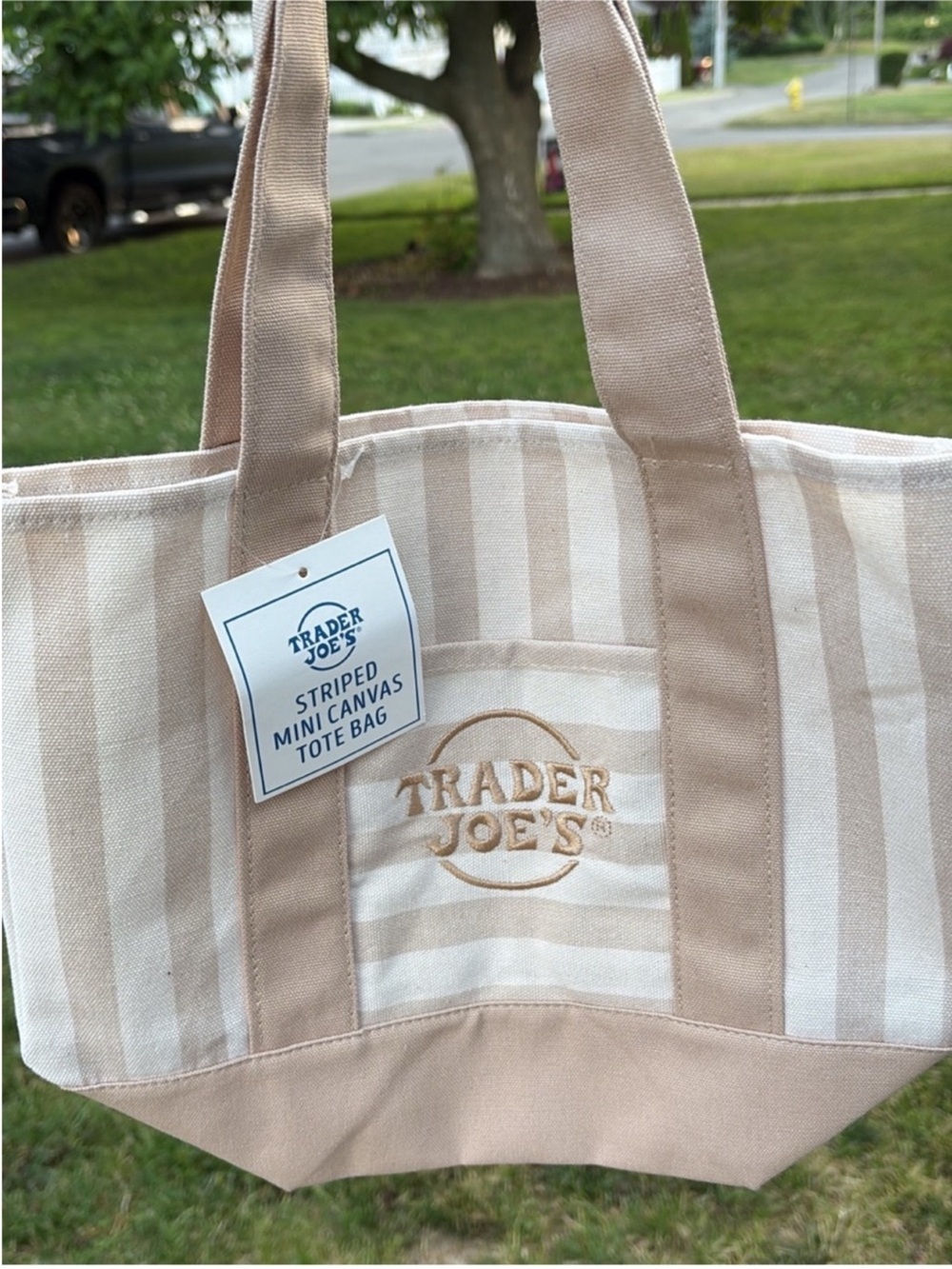 Trader Joe's Striped Beige Canvas Tote Bag
